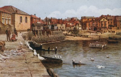 Möwen im Hafen, St. Ives von Alfred Robert Quinton