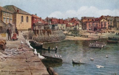 Möwen im Hafen, St Ives, Cornwall von Alfred Robert Quinton