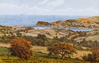 Teignmouth und Shaldon, von Haldon Moor von Alfred Robert Quinton