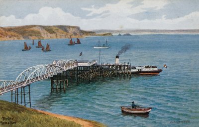 Tenby, Pier und Bucht von Alfred Robert Quinton