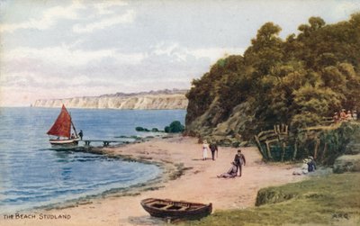 Der Strand, Studland von Alfred Robert Quinton