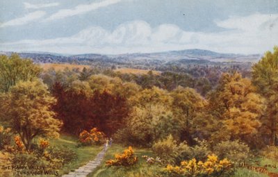 Das glückliche Tal, Tunbridge Wells von Alfred Robert Quinton