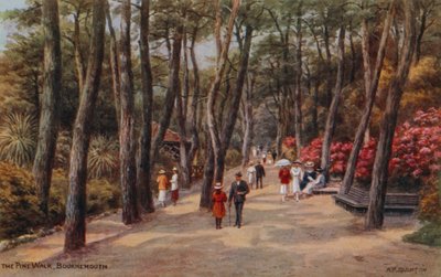 Der Pinienweg, Bournemouth von Alfred Robert Quinton