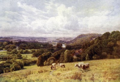 Das Thames Valley von Hennerton, Henley von Alfred Robert Quinton