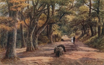 Weston-Super-Mare, Kewstoke Woods von Alfred Robert Quinton