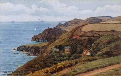 Woody Bay, von Martinhoe Common von Alfred Robert Quinton