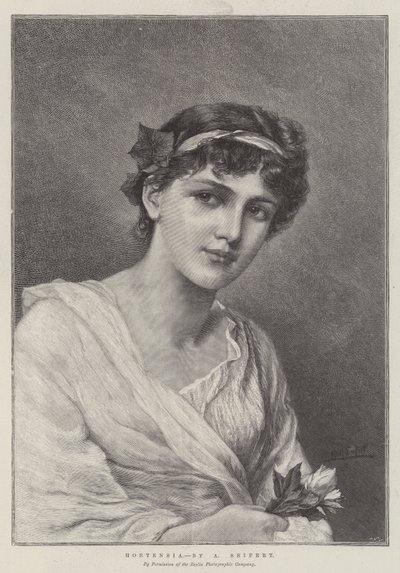 Hortensia von Alfred Seifert