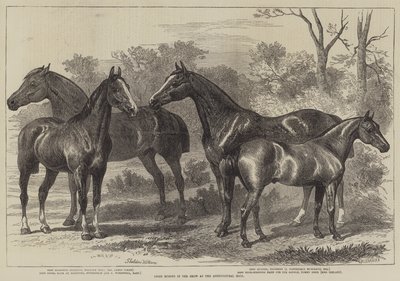 Preispferde in der Ausstellung in der Agricultural Hall von Alfred Sheldon Williams