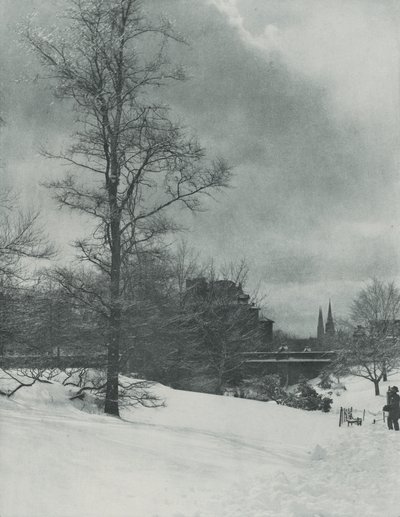 Ein Winterhimmel - Central Park von Alfred Stieglitz