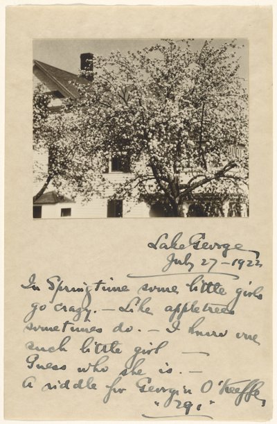 [Apfelblüten] von Alfred Stieglitz