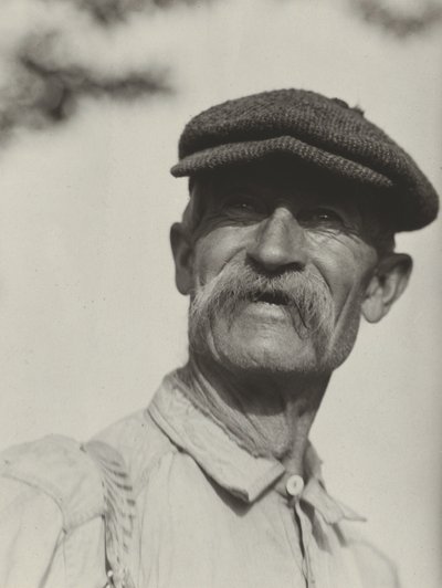 Bly von Alfred Stieglitz