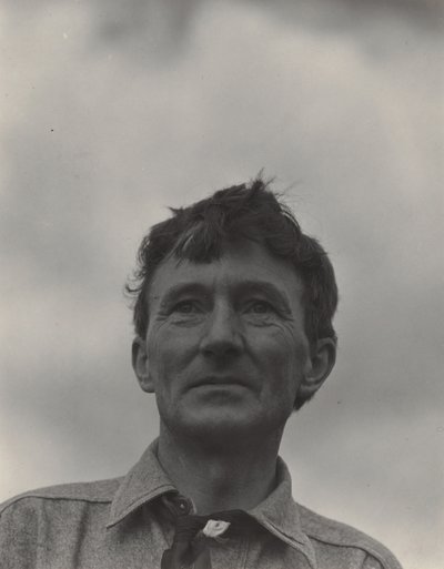 Donald Davidson von Alfred Stieglitz