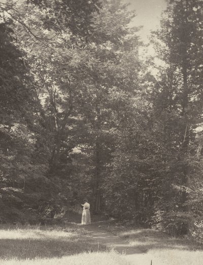 von Alfred Stieglitz