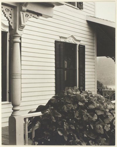 Haus und Weinblätter, 1934 von Alfred Stieglitz