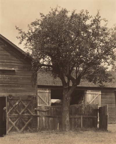 Die Scheune von Alfred Stieglitz