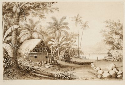 Gräber auf der Insel Muthuata, Fidschi von Alfred Thomas Agate