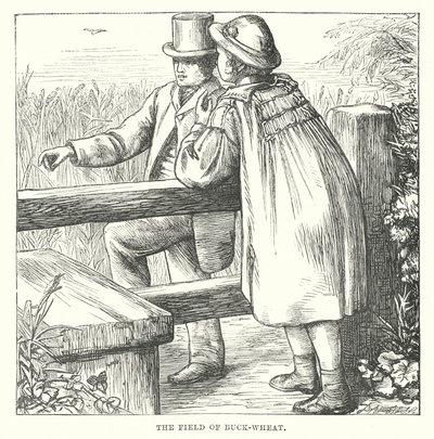 Hans Christian Andersen: Der Buchweizen von Alfred Walter (after) Bayes