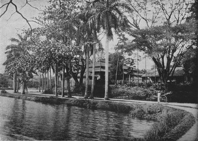 Kandy - Eine malerische Ecke des Sees, um 1890, 1910 von Alfred William Amandus Plate