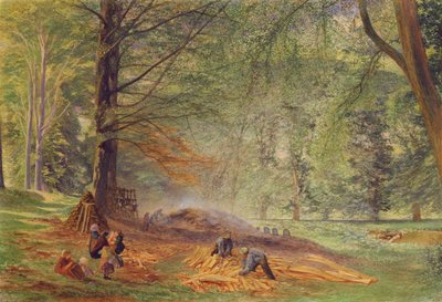 Köhler im Rokeby Park von Alfred William Hunt