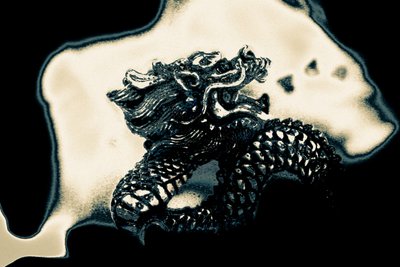 Feuer speiender Drache von Alice Gur-Arie