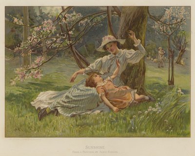 Sonnenschein von Alice Havers