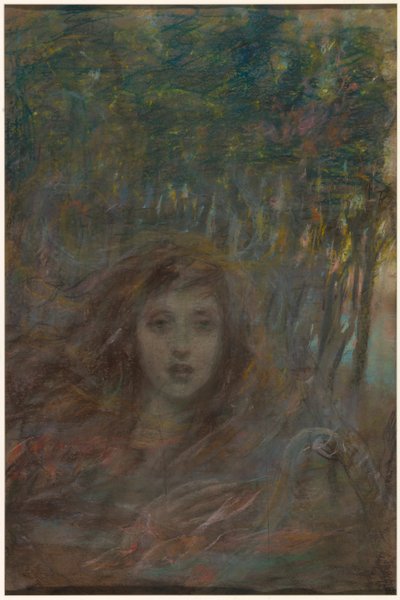Vision durch Wälder von Alice Pike Barney
