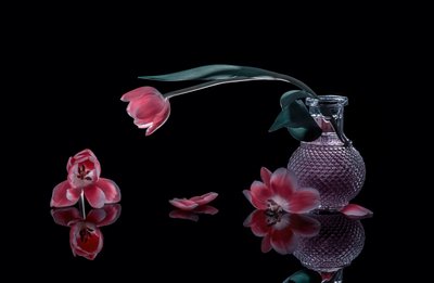  von Alice Sheng