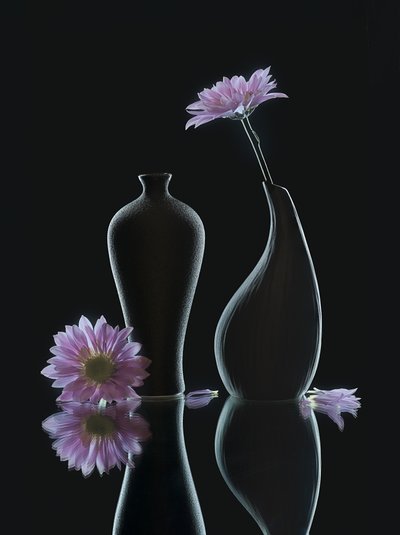  von Alice Sheng