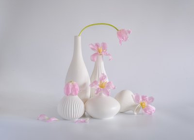  von Alice Sheng
