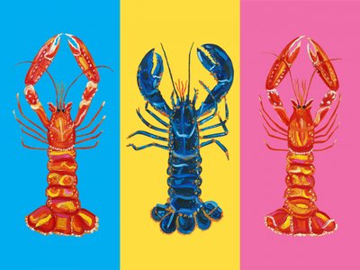 Bunte Pop-Hummer von Alice Straker