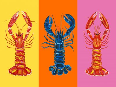 Bunte Pop-Hummer von Alice Straker