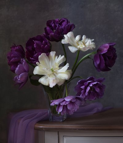 Lila-weißer Tulpenstrauß von Alina Lankina