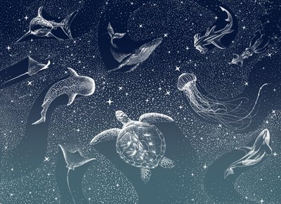 Himmlisches Meeresleben von Alirıza ÇAKIR