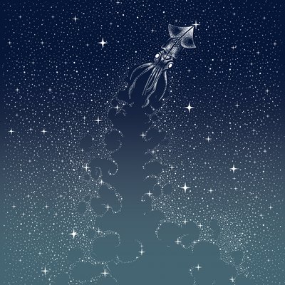 Himmlischer Tintenfischflug von Alirıza ÇAKIR