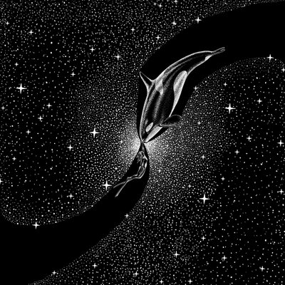 Kosmische Orca-Begegnung von Alirıza ÇAKIR