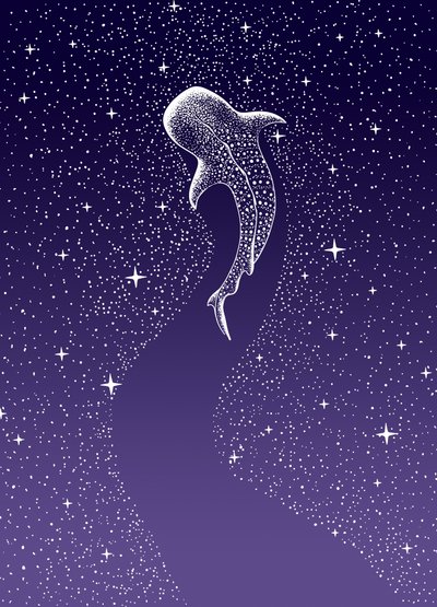 Walhai-Galaxie-Schwimmen von Alirıza ÇAKIR