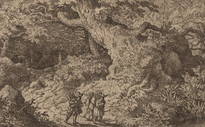Ein dichter Wald, wahrscheinlich ca. 1645-1656 von Allart van Everdingen
