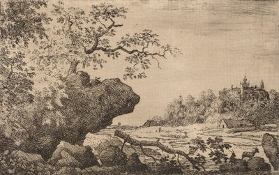 Ast im Wasser von Allart van Everdingen