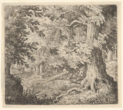 Der Bach im Wald von Allart van Everdingen