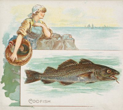 Kabeljau, aus der Serie Fish from American Waters N39 für Allen & Ginter Zigaretten von Allen and Ginter
