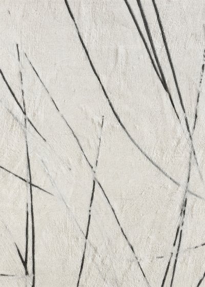 Organische Linienstruktur von Alma