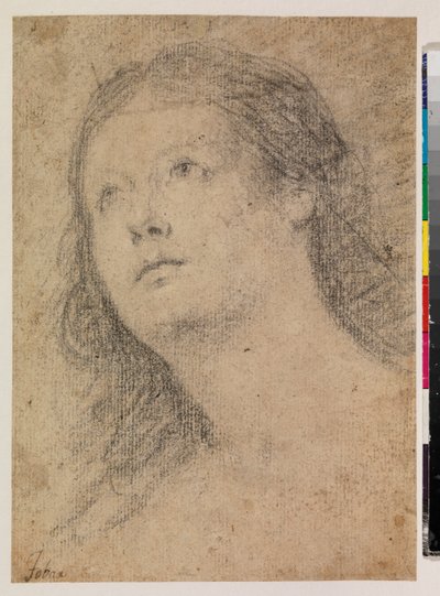 Kopf einer Frau, die nach oben schaut (recto) von Alonso Miguel de Tovar
