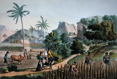 Insel Guam: Landwirtschaftliche Arbeiten, aus 
