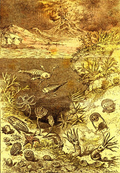 Urgeschichte-Ende des Silurischen Zeitraums: Natürliche Schöpfung und Lebewesen (J. Rengade) Zeichnung A. Demarle. 1885 von Alphonse Demarle