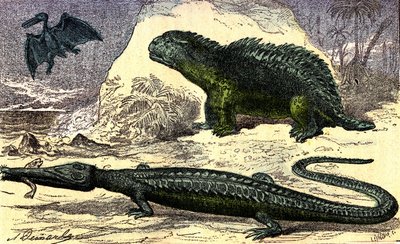 Urgeschichte - Jura-Periode: Der Teleosaurier und der Hyleosaurier. Der Pterodaktylus oben. Natürliche Schöpfung und Lebewesen. Zeichnung von A. Demarle. 1885 von Alphonse Demarle