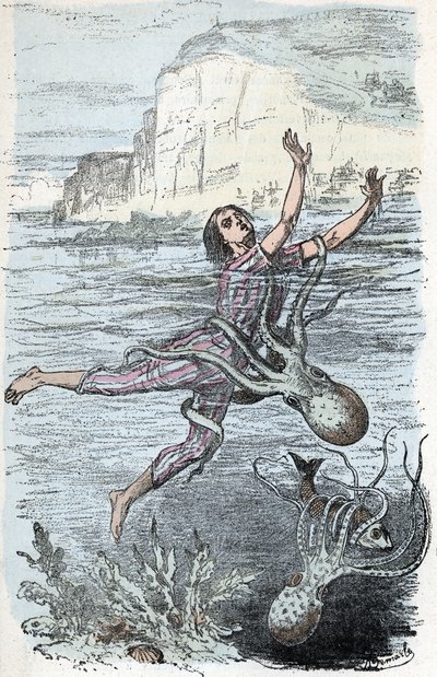 Zoologische Tafel; Kopffüßer-Mollusken, Schwimmer von einem großen Oktopus ergriffen und musquée eledone (Zoologische Platte: Schwimmer von einem Oktopus ergriffen) Gravur aus 