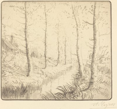 Birken am Wasser von Alphonse Legros