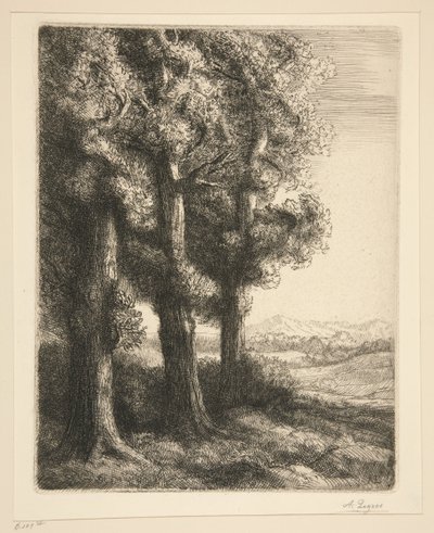 Eine Ecke im Wald von Alphonse Legros