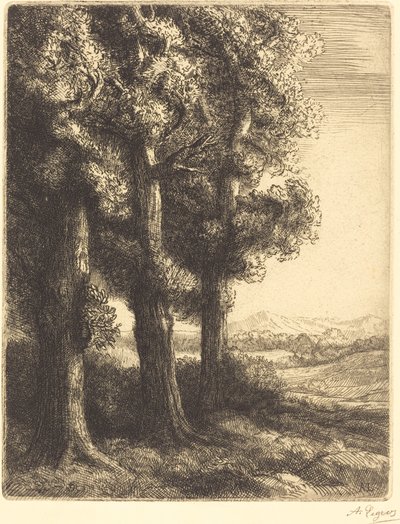 Ecke eines Waldes von Alphonse Legros