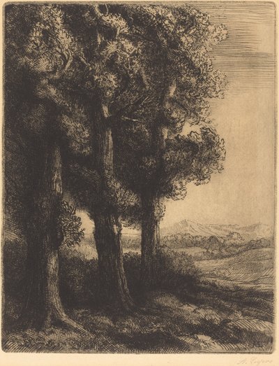 Ecke eines Waldes von Alphonse Legros
